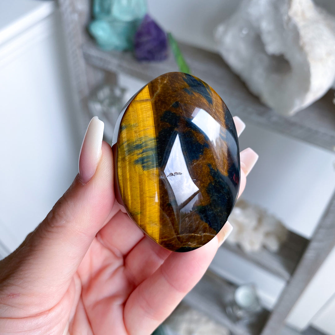 Unique Blue Tiger Eye Palm 