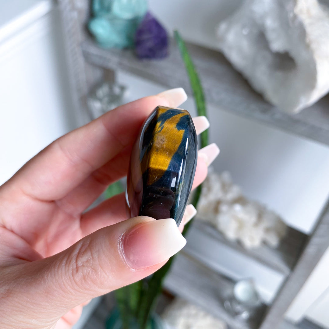 Unique Blue Tiger Eye Palm 