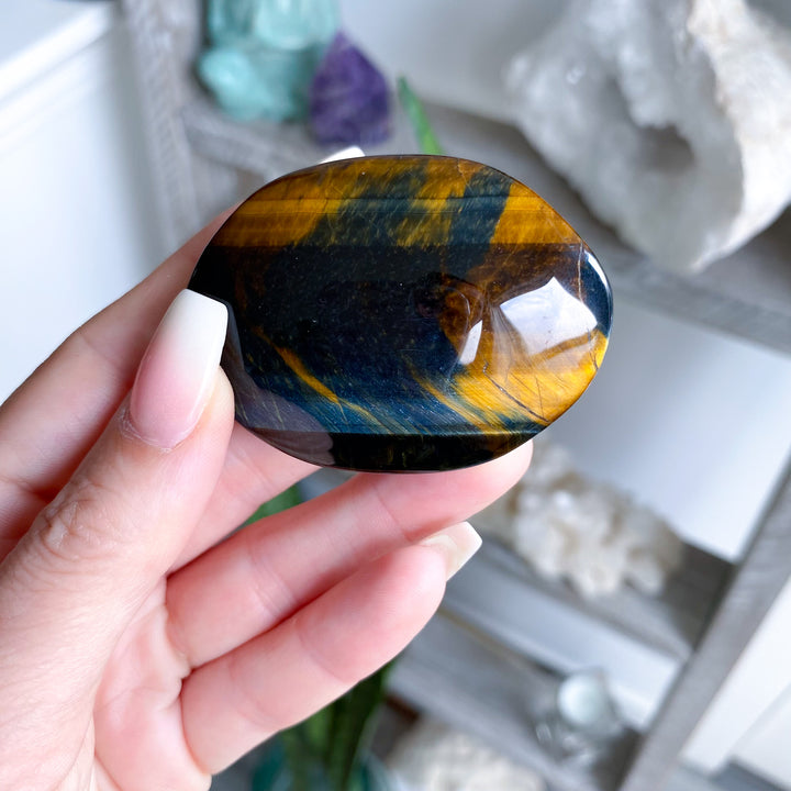 Unique Blue Tiger Eye Palm 