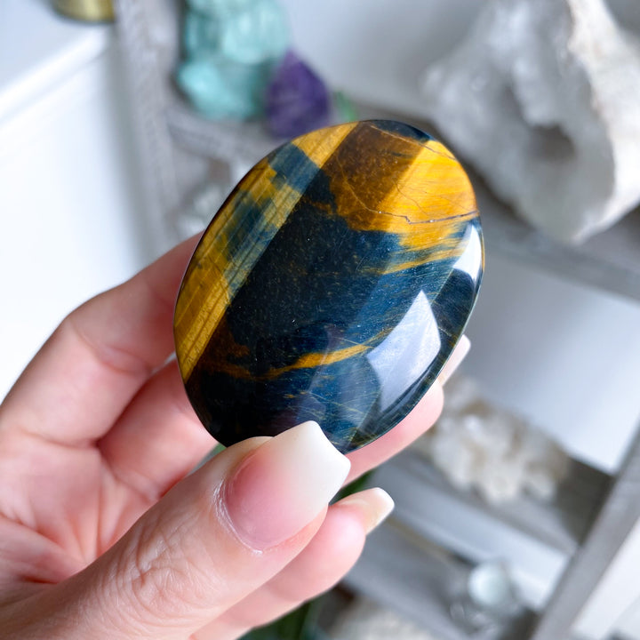 Unique Blue Tiger Eye Palm 