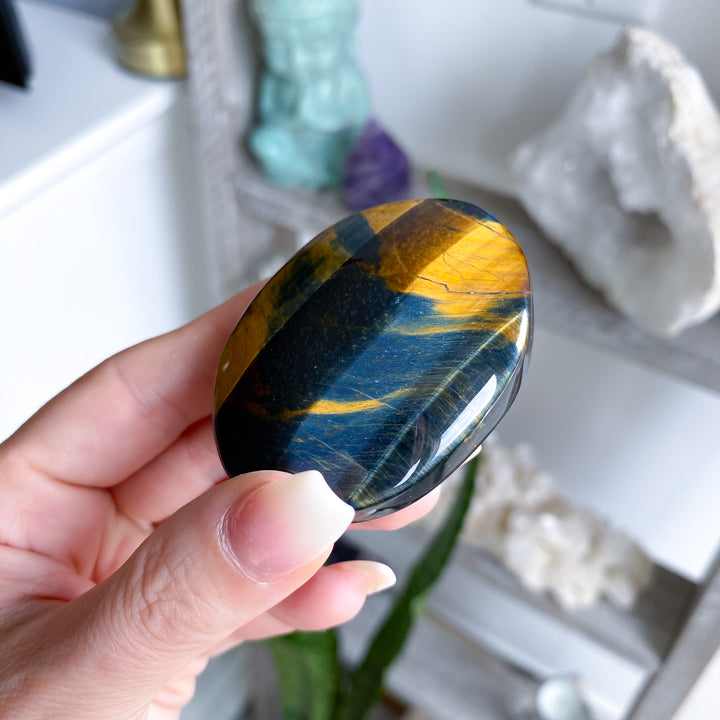 Unique Blue Tiger Eye Palm 