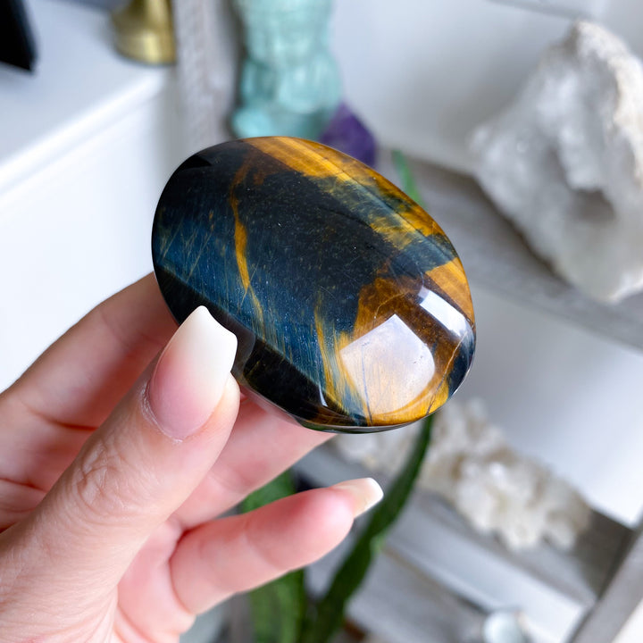 Unique Blue Tiger Eye Palm 