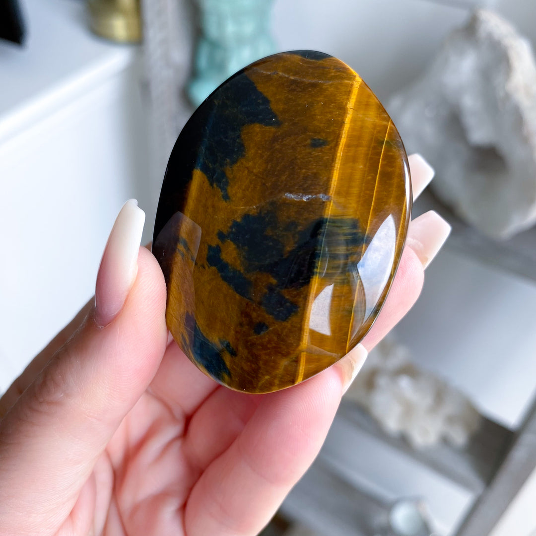 Unique Blue Tiger Eye Palm 