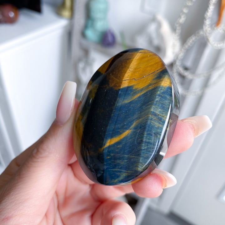 Unique Blue Tiger Eye Palm 