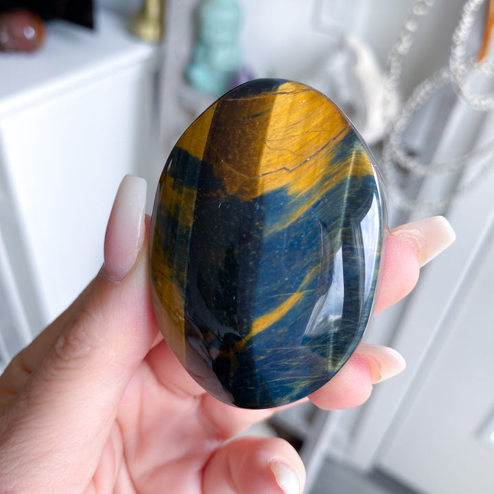 Unique Blue Tiger Eye Palm 