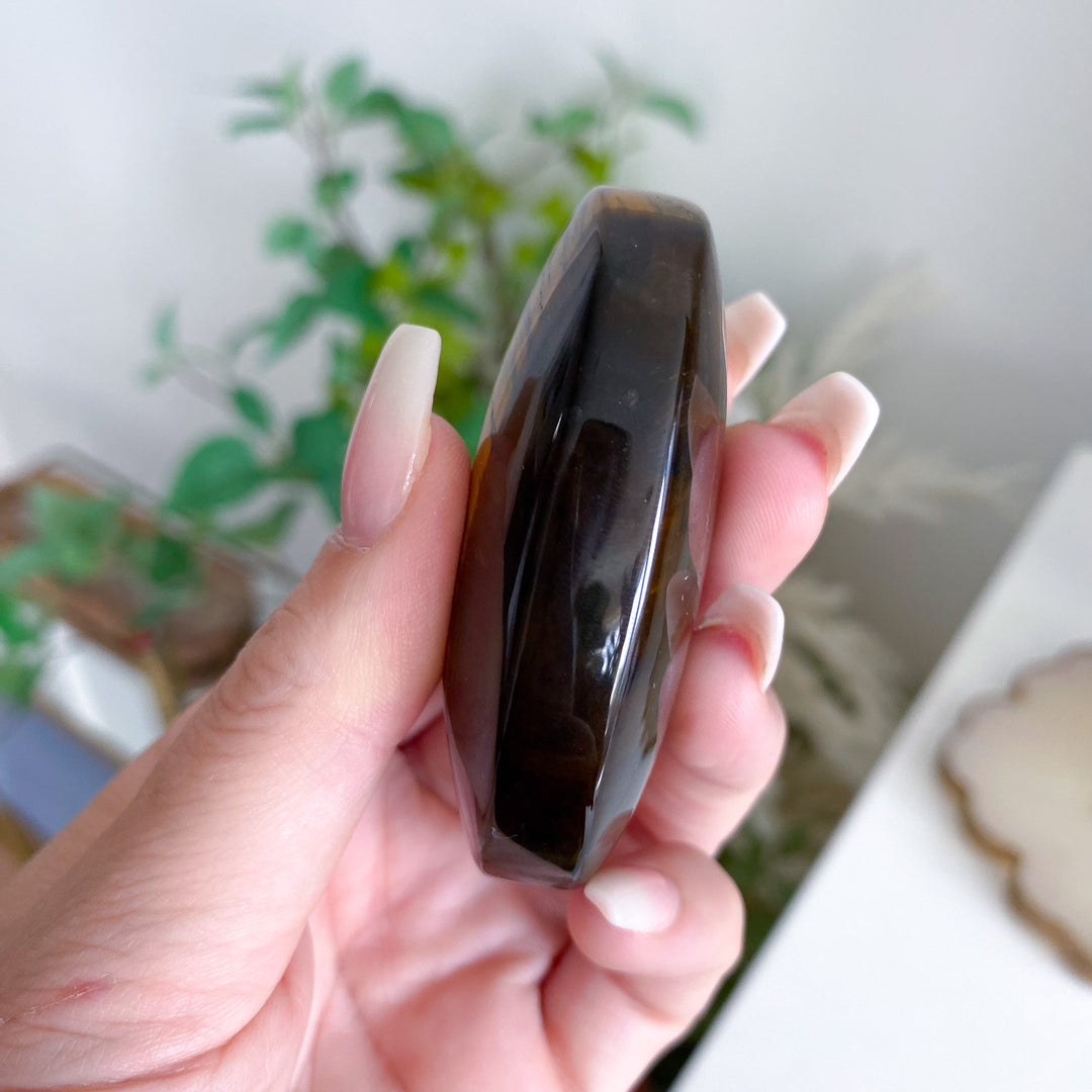 Blue Tiger Eye Palm 
