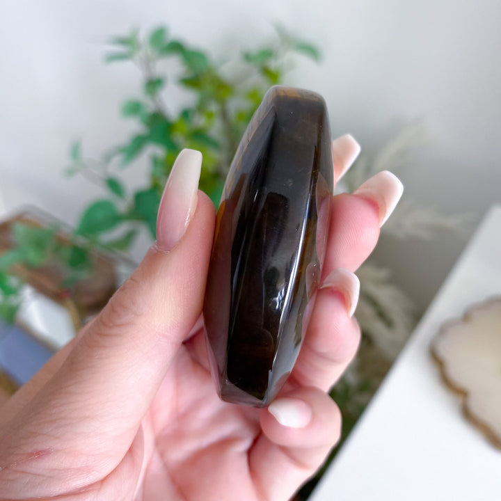 Blue Tiger Eye Palm 