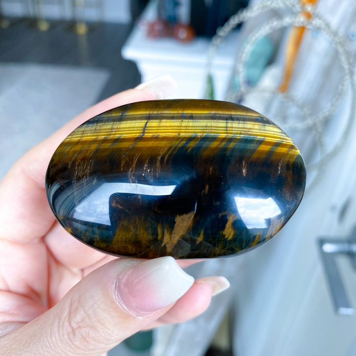 Blue Tiger Eye Palm 