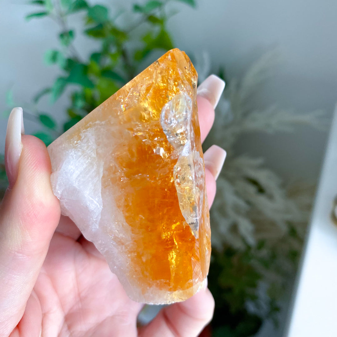 Citrine Polished Freeform 