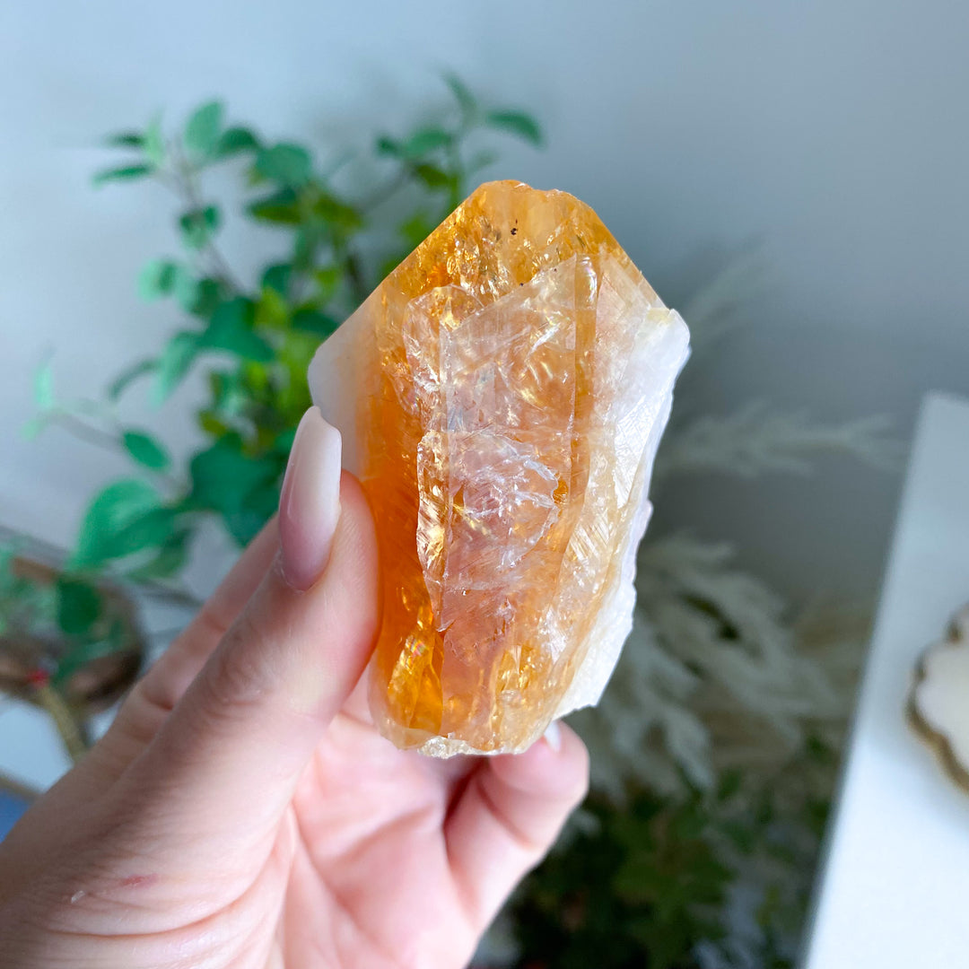 Citrine Polished Freeform 