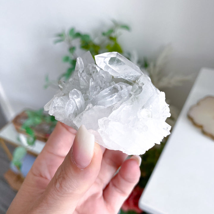 Clear Quartz Cluster 