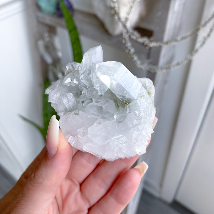 Clear Quartz Cluster 