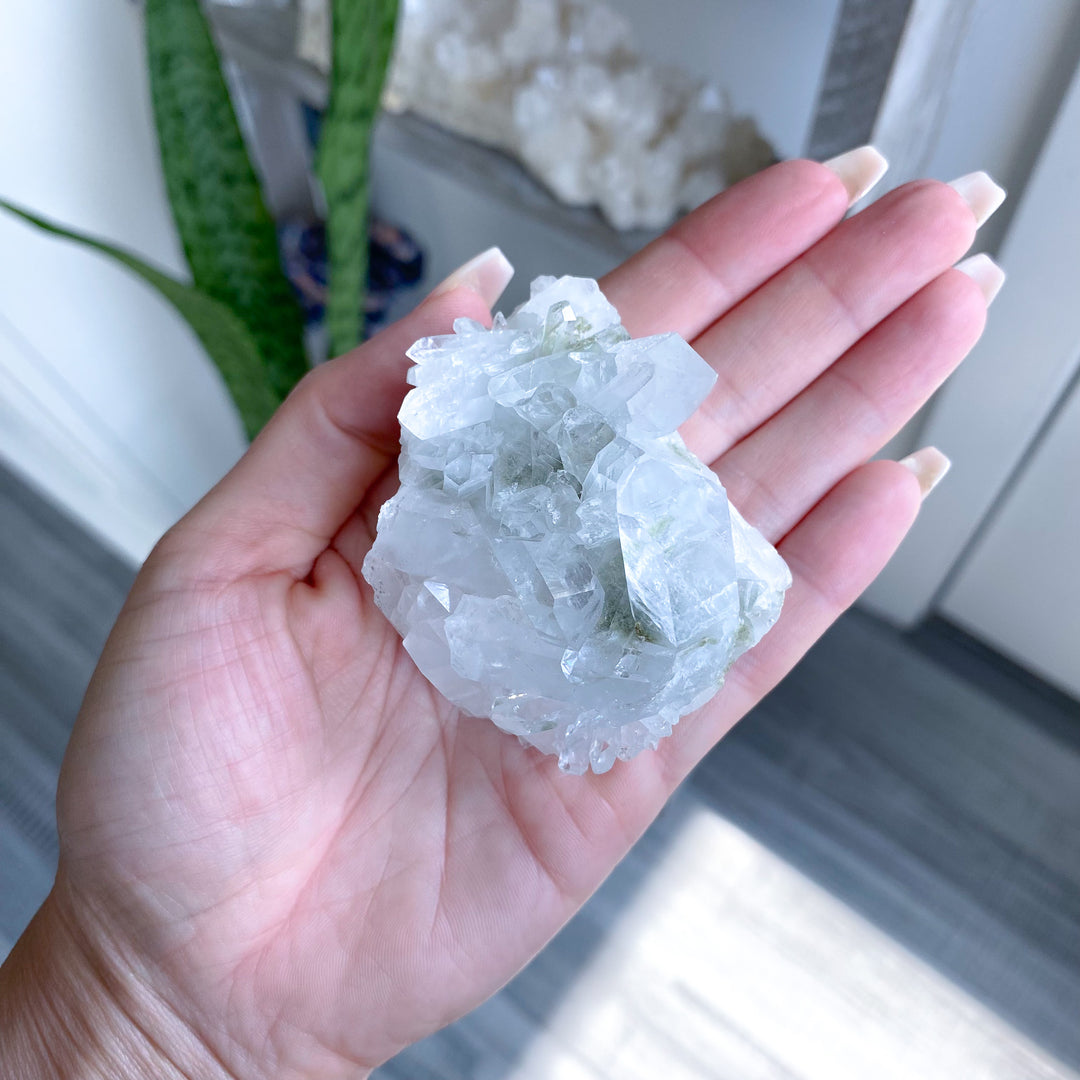 Clear Quartz Cluster 