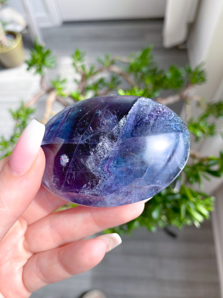 Rainbow Fluorite Palm 