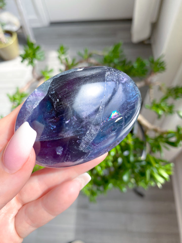 Rainbow Fluorite Palm 