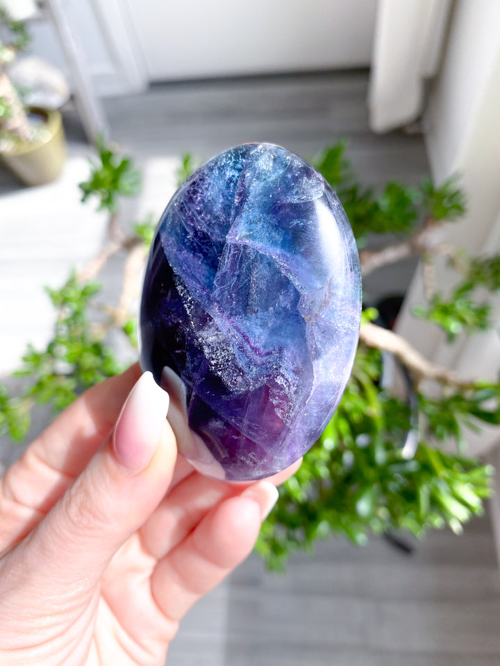 Rainbow Fluorite Palm 
