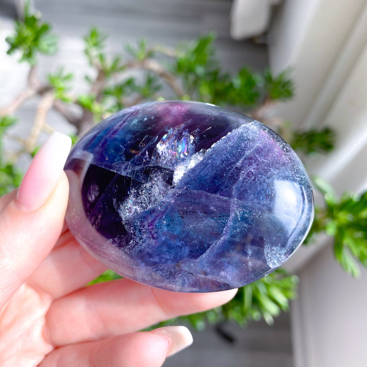 Rainbow Fluorite Palm 