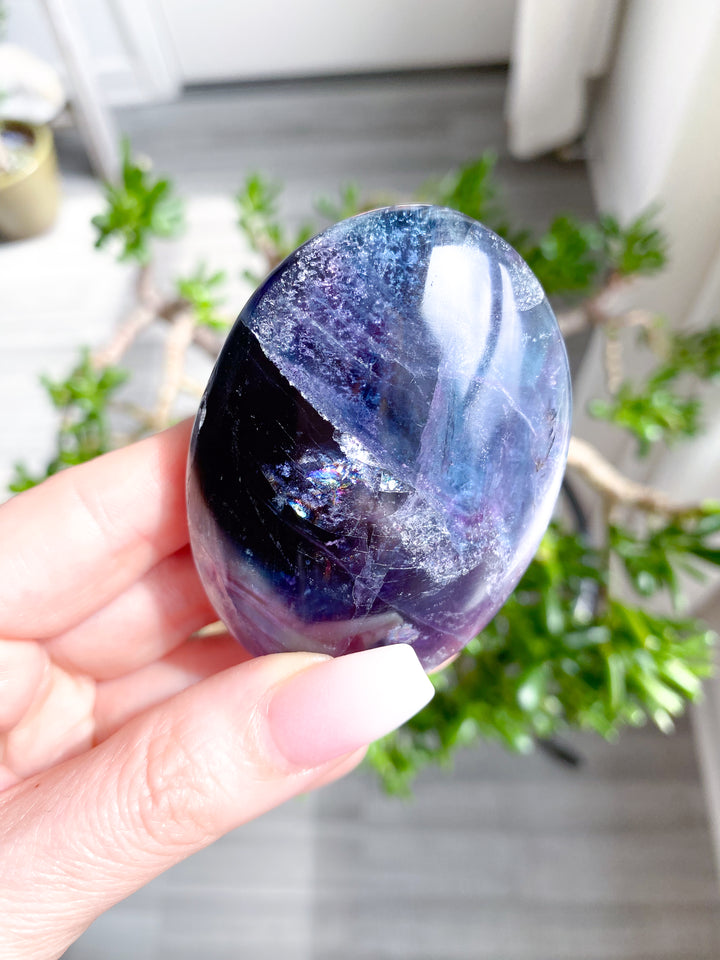 Rainbow Fluorite Palm 