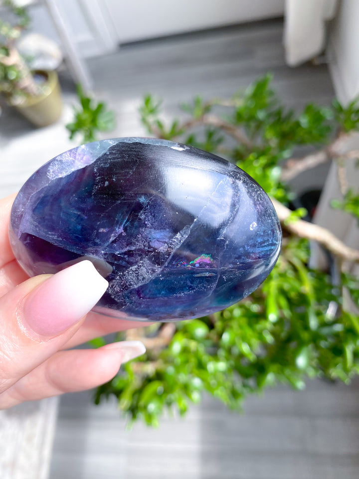 Rainbow Fluorite Palm 