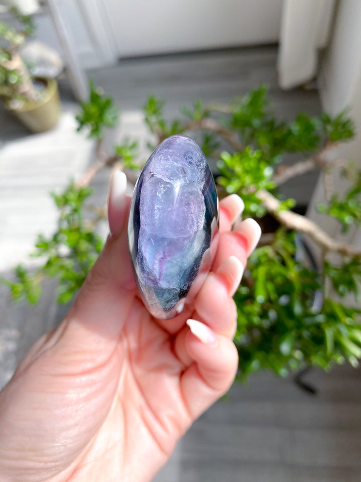 Rainbow Fluorite Palm 
