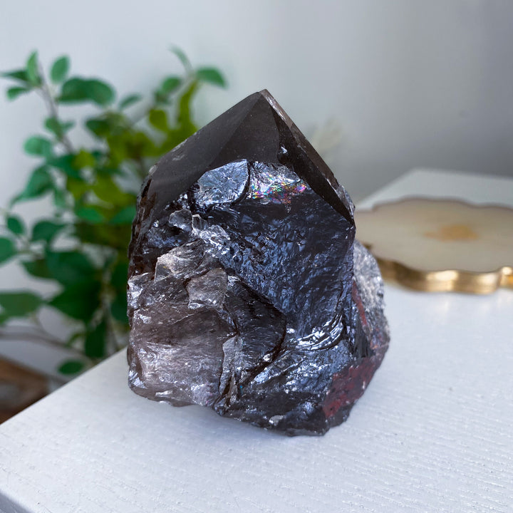 Unique XL Smokey Quartz Top Polish Point 