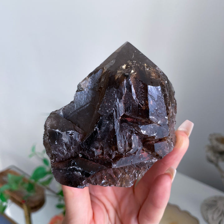Unique XL Smokey Quartz Top Polish Point 