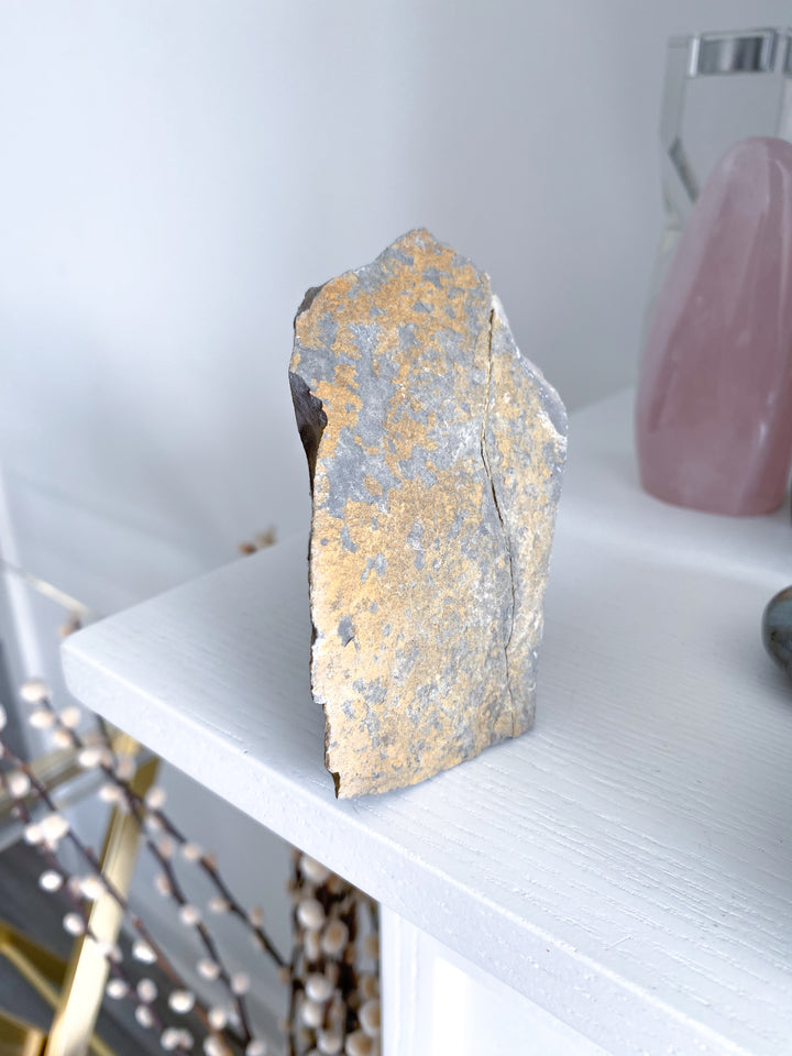 XL 1.11lb Oregon Septarian Rough Statement Piece