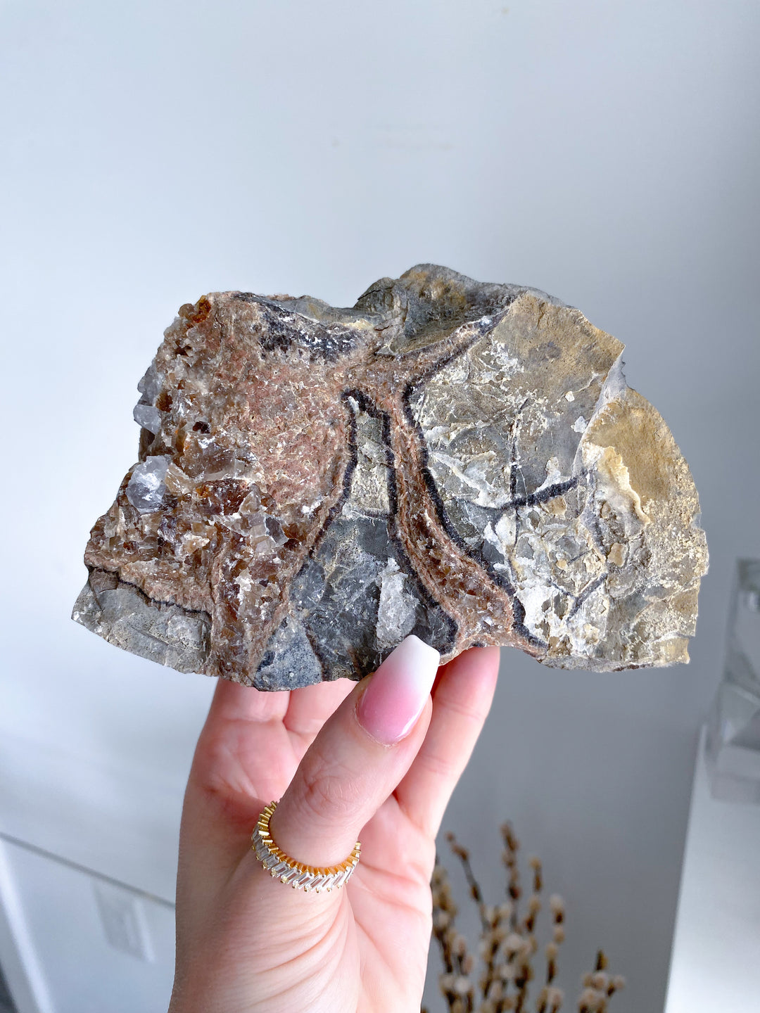 XL 1.11lb Oregon Septarian Rough Statement Piece