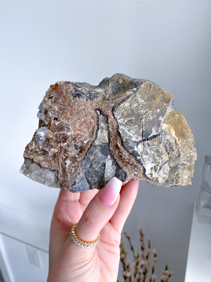 XL 1.11lb Oregon Septarian Rough Statement Piece