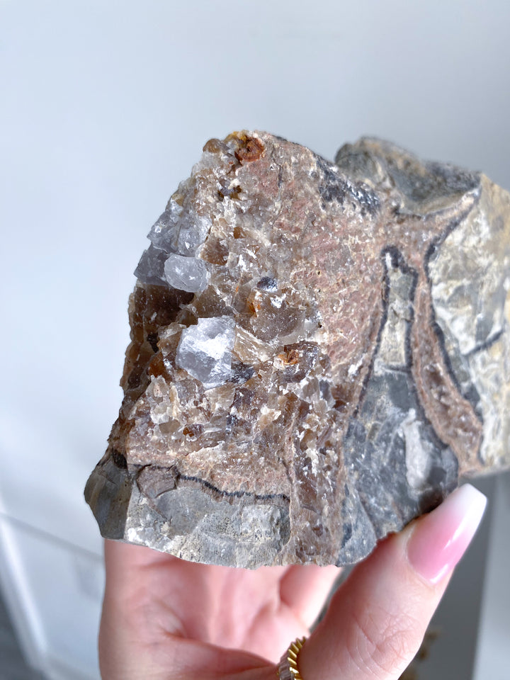 XL 1.11lb Oregon Septarian Rough Statement Piece