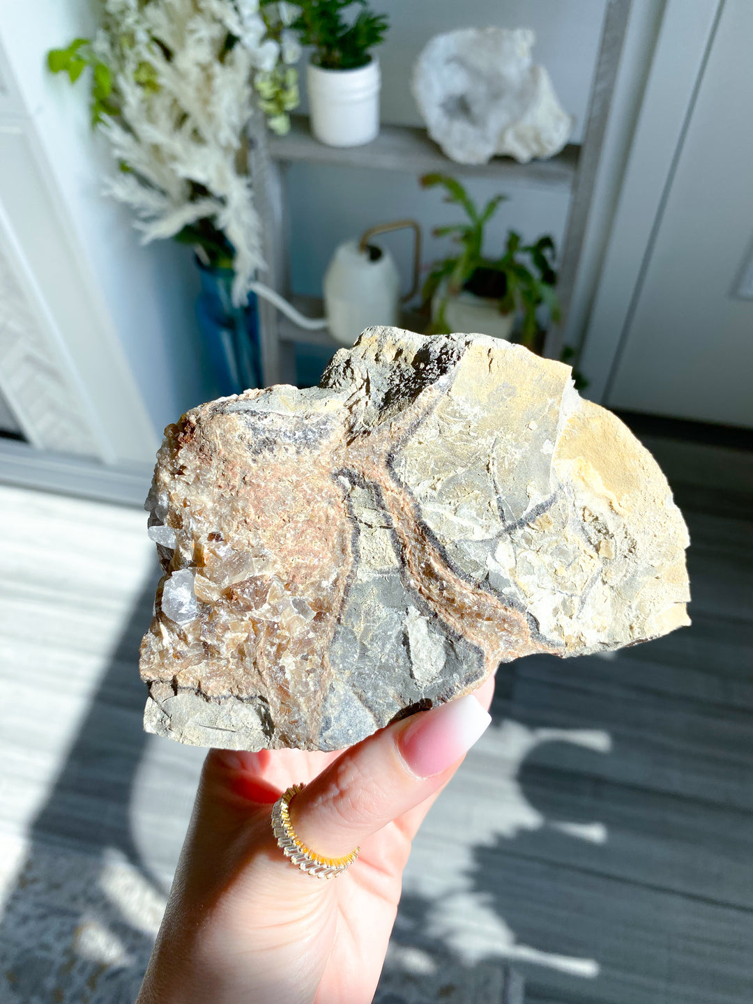 XL 1.11lb Oregon Septarian Rough Statement Piece