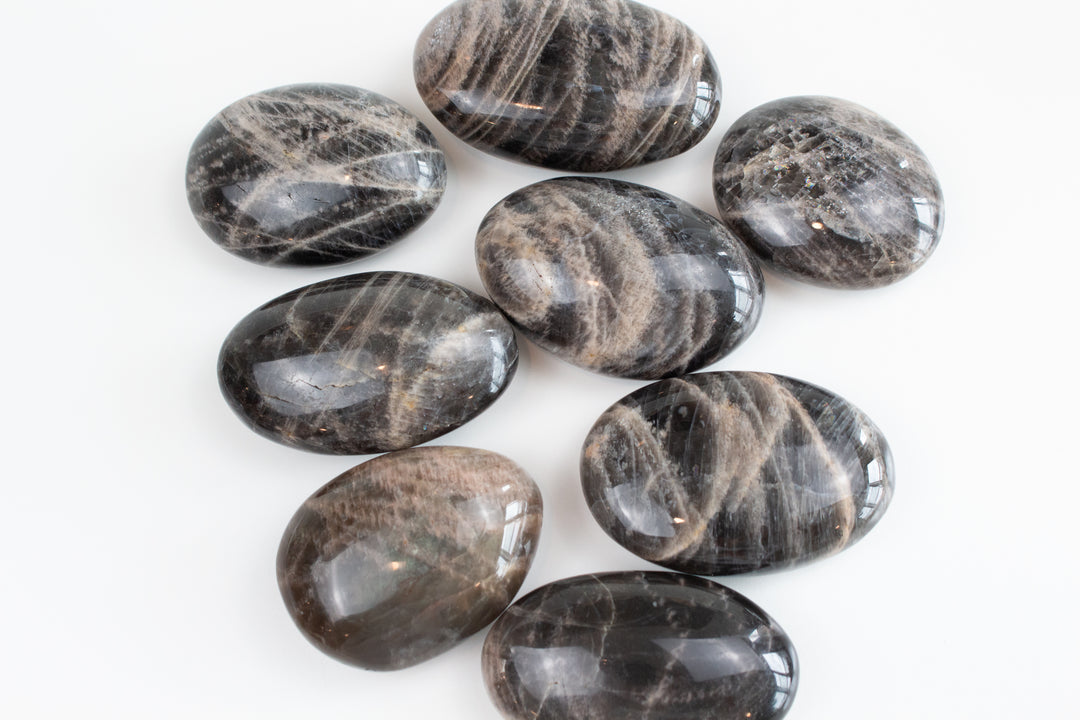 Black Moonstone Palm