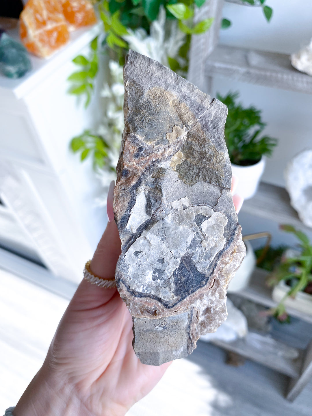XL 1.11lb Oregon Septarian Rough Statement Piece