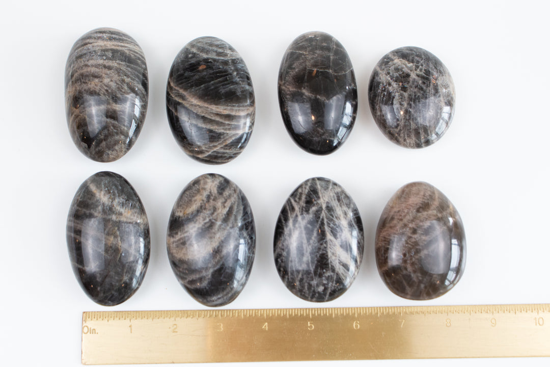 Black Moonstone Palm