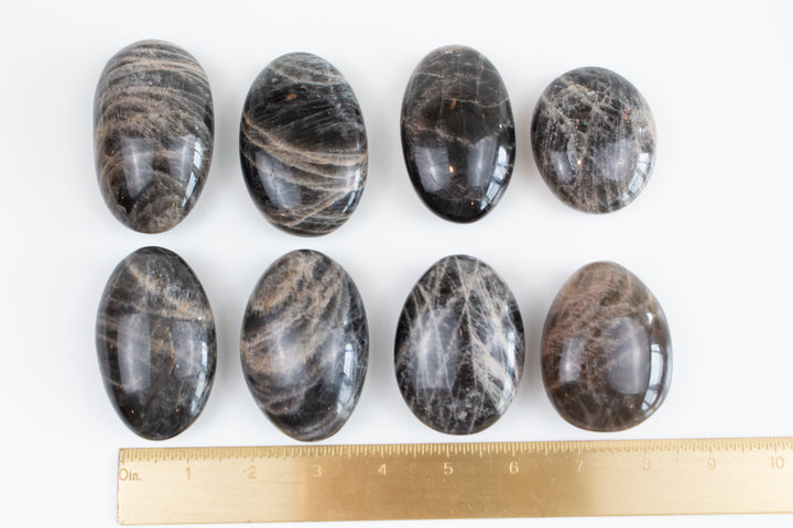 Black Moonstone Palm