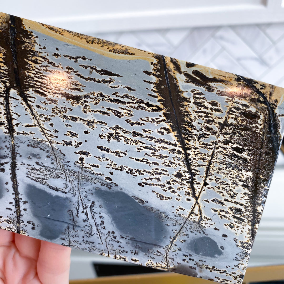Picture Jasper Slab on Stand 