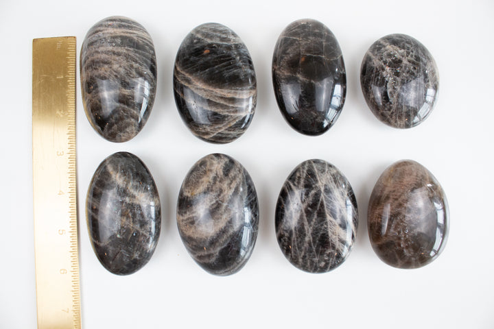 Black Moonstone Palm