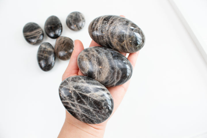 Black Moonstone Palm