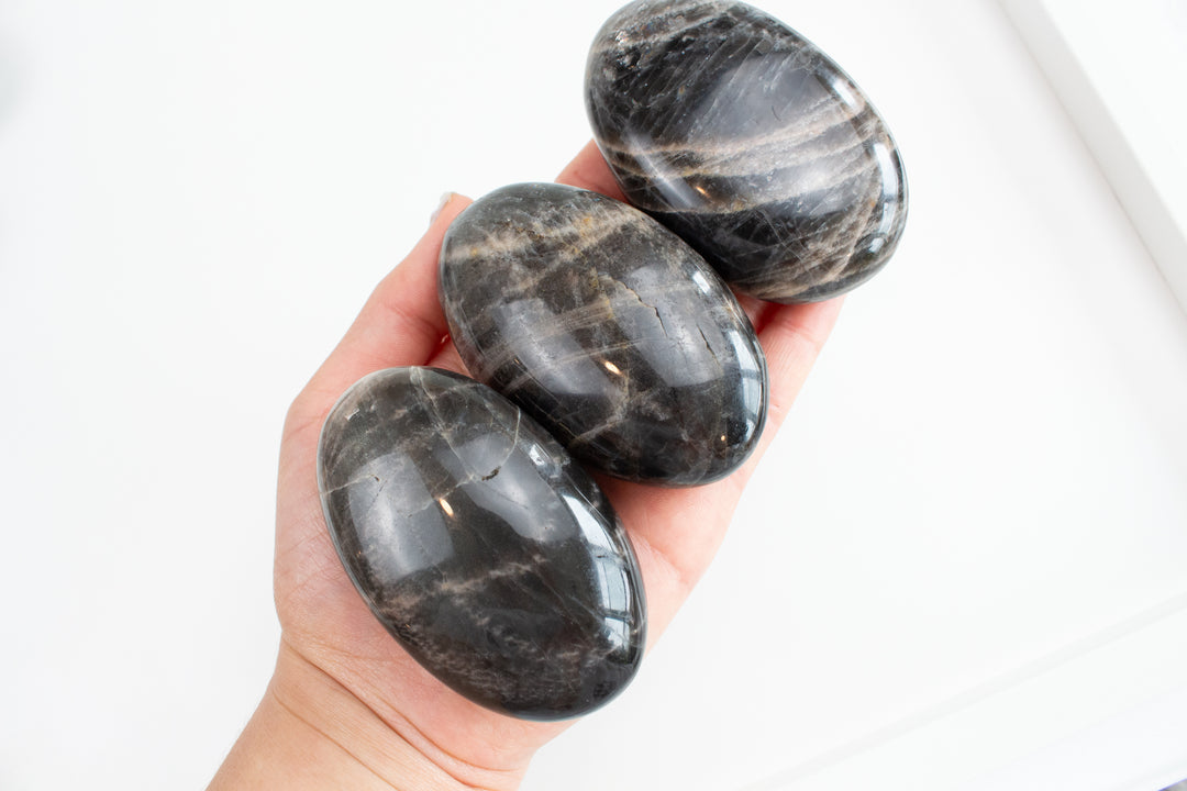 Black Moonstone Palm