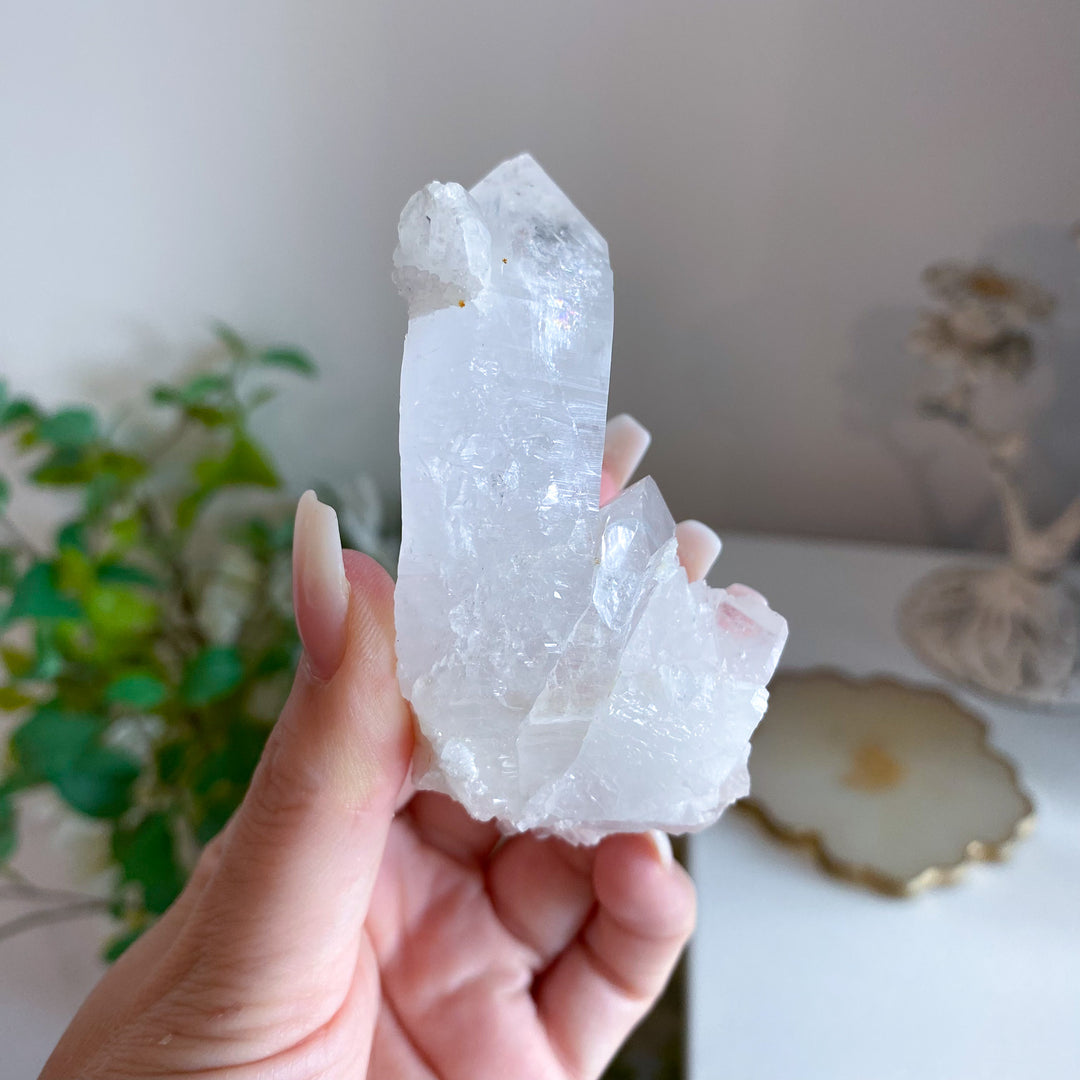 Clear Quartz Cluster 