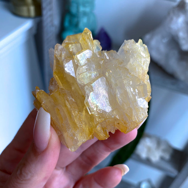 RARE: Natural Champagne Aura Quartz Cluster 