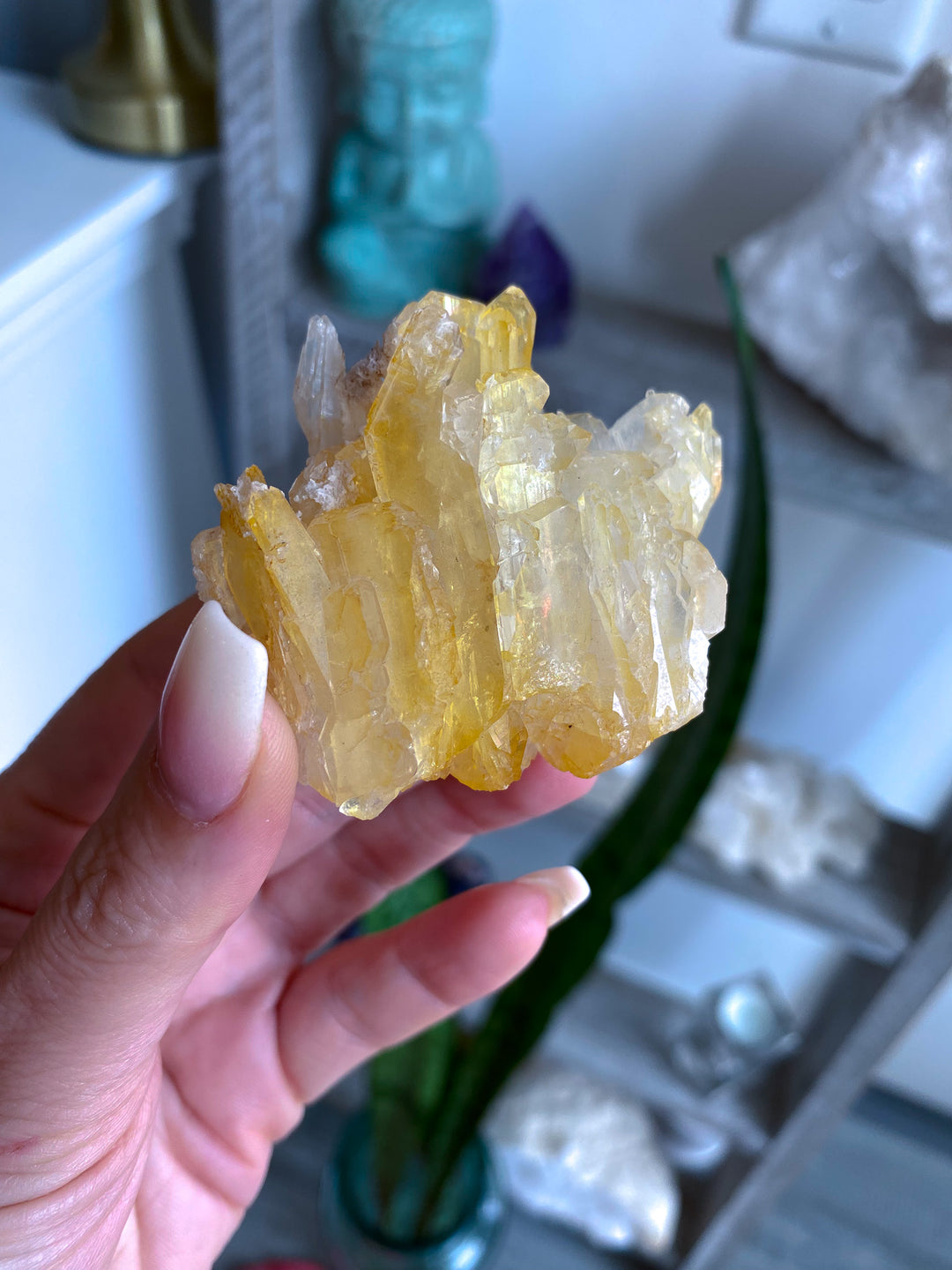 RARE: Natural Champagne Aura Quartz Cluster 