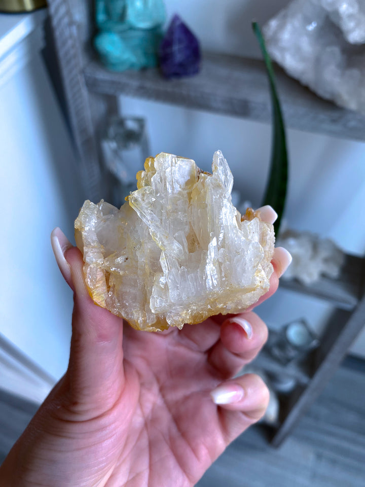 RARE: Natural Champagne Aura Quartz Cluster 