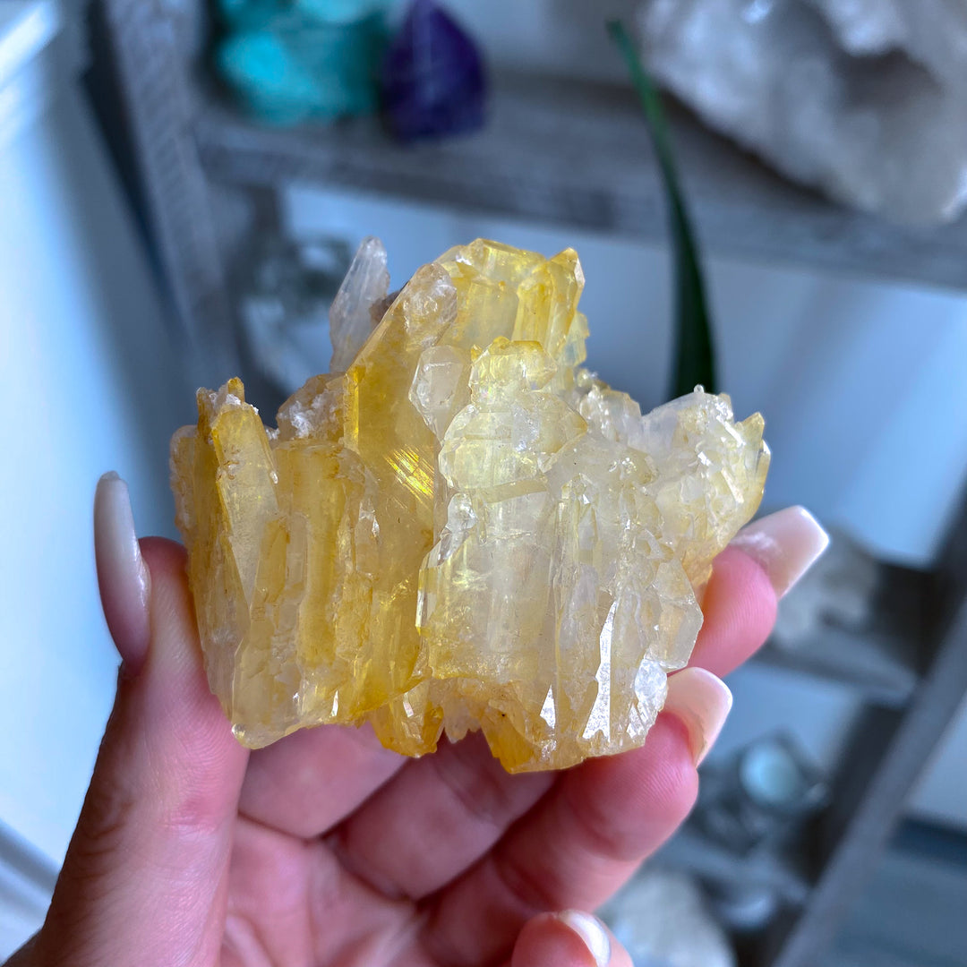 RARE: Natural Champagne Aura Quartz Cluster 
