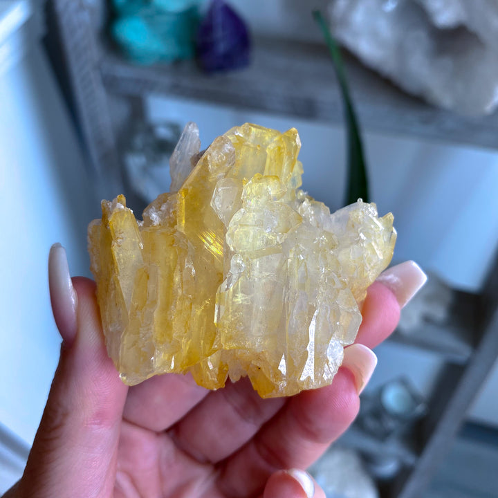RARE: Natural Champagne Aura Quartz Cluster 