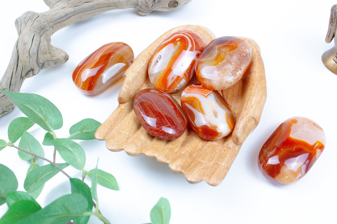 Carnelian Palm Stones - You Choose