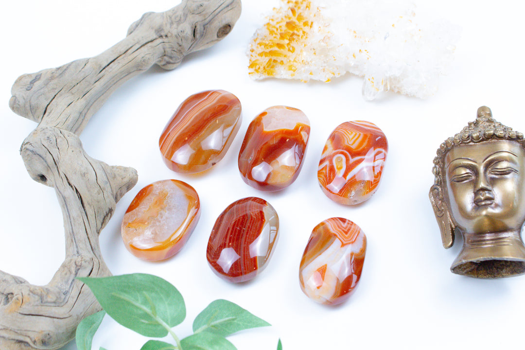 Carnelian Palm Stones - You Choose