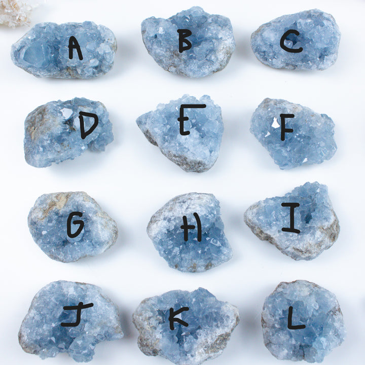 CHOOSE Your Celestite Cluster - Celestite Stone