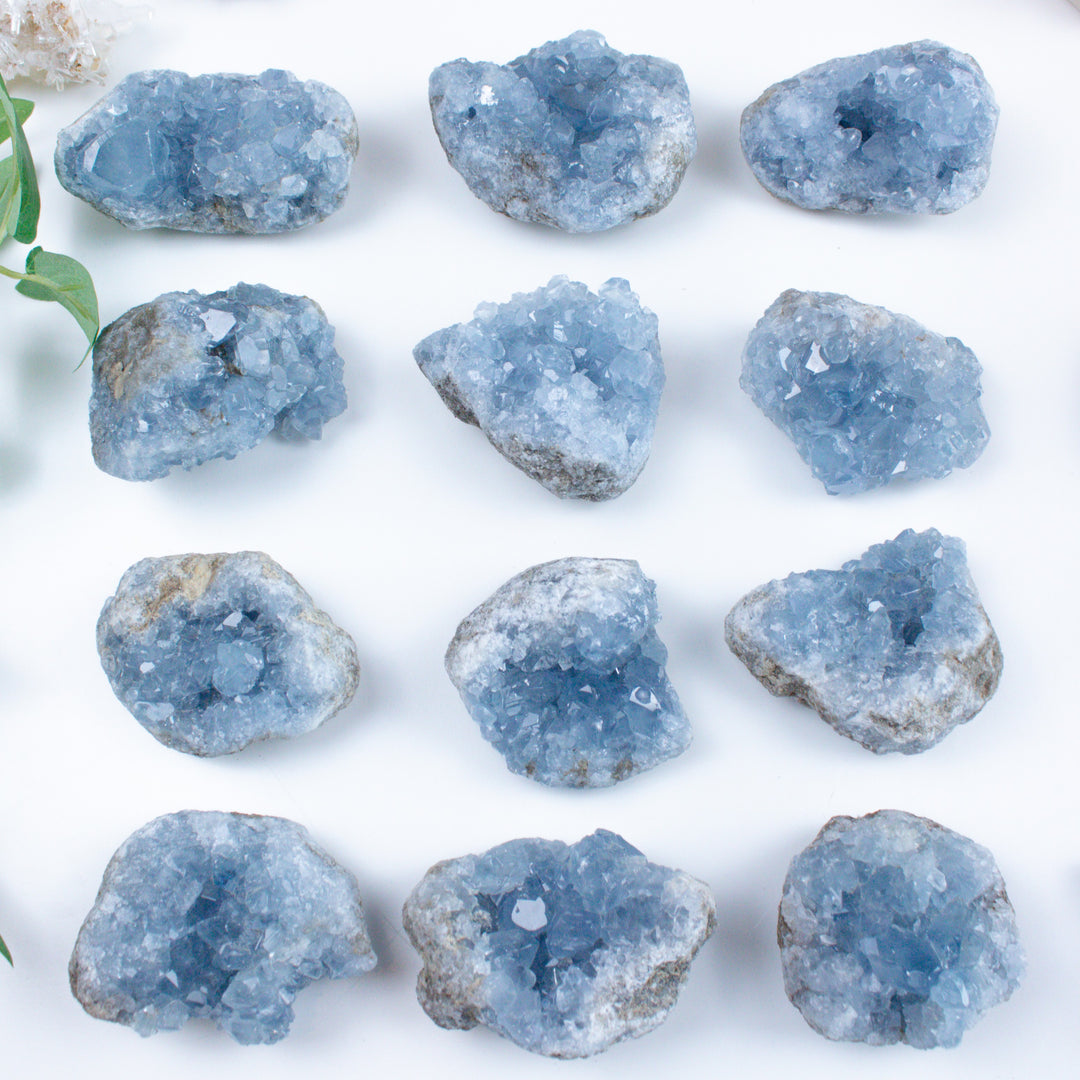 Large Celestite Cluster - Your Choice