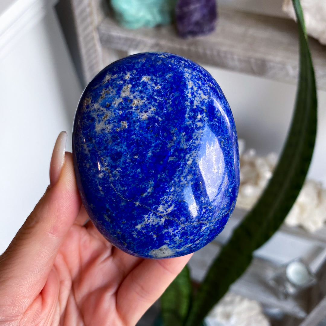 XL Deep Blue Lapis Palm 